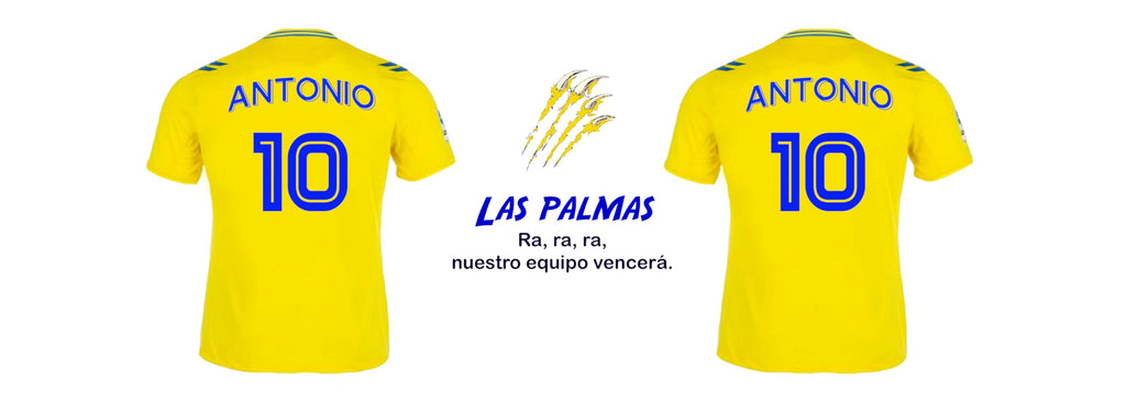 Taza Alavés Cerámica Personalizada Diseño Camiseta 325 Ml Regalo Ideal Para Aficionados Detalle Único Día Del Padre Cumpleaños Fanáticos Futbol Resistente Lavavajillas Microondas (Alavéscerámica)