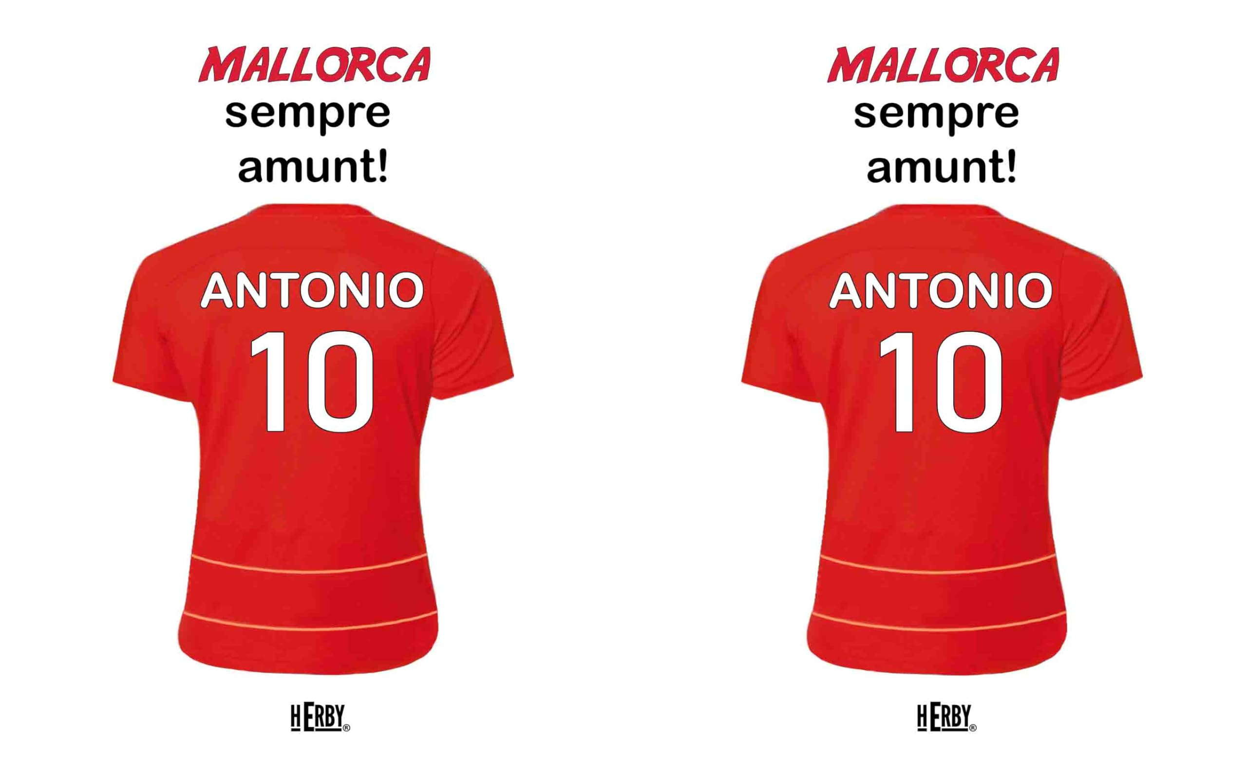botella de agua del Alaves para niños personalizada con nombre y número es un bidón de aluminio liviano para fanáticos del futbol cantimplora del Alaves de 600 ml con dos tapones(Alavesbidón)
