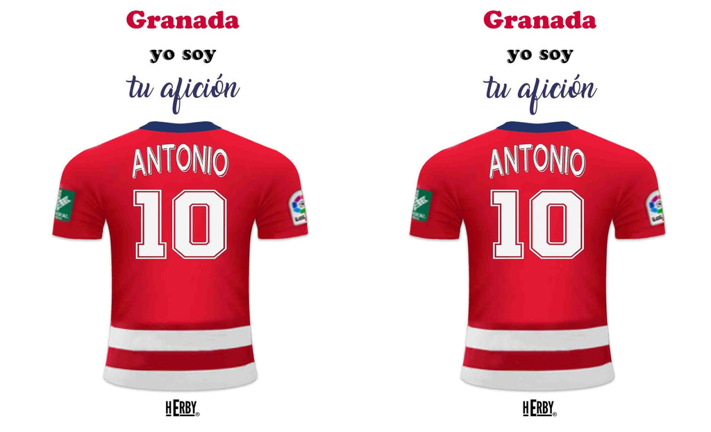 botella de agua del Alaves para niños personalizada con nombre y número es un bidón de aluminio liviano para fanáticos del futbol cantimplora del Alaves de 600 ml con dos tapones(Alavesbidón)